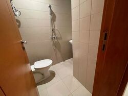 Ardmore Park (D10), Condominium #512842551